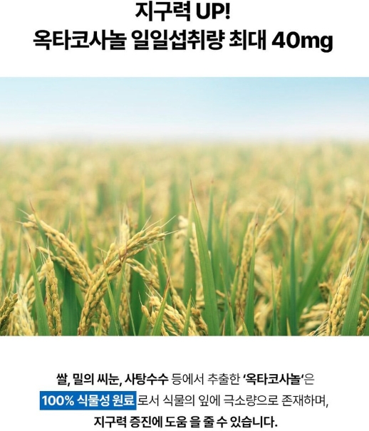 파란통 다이어트 옥타코사놀 효과