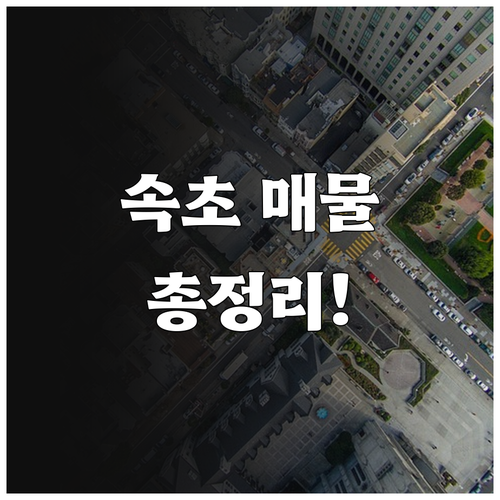 속초 교차로 부동산 매물 확인 및 홈..