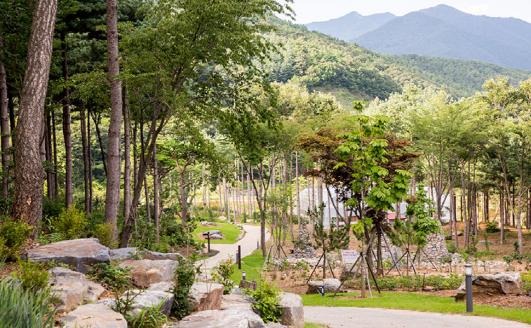 보령 무궁화수목원