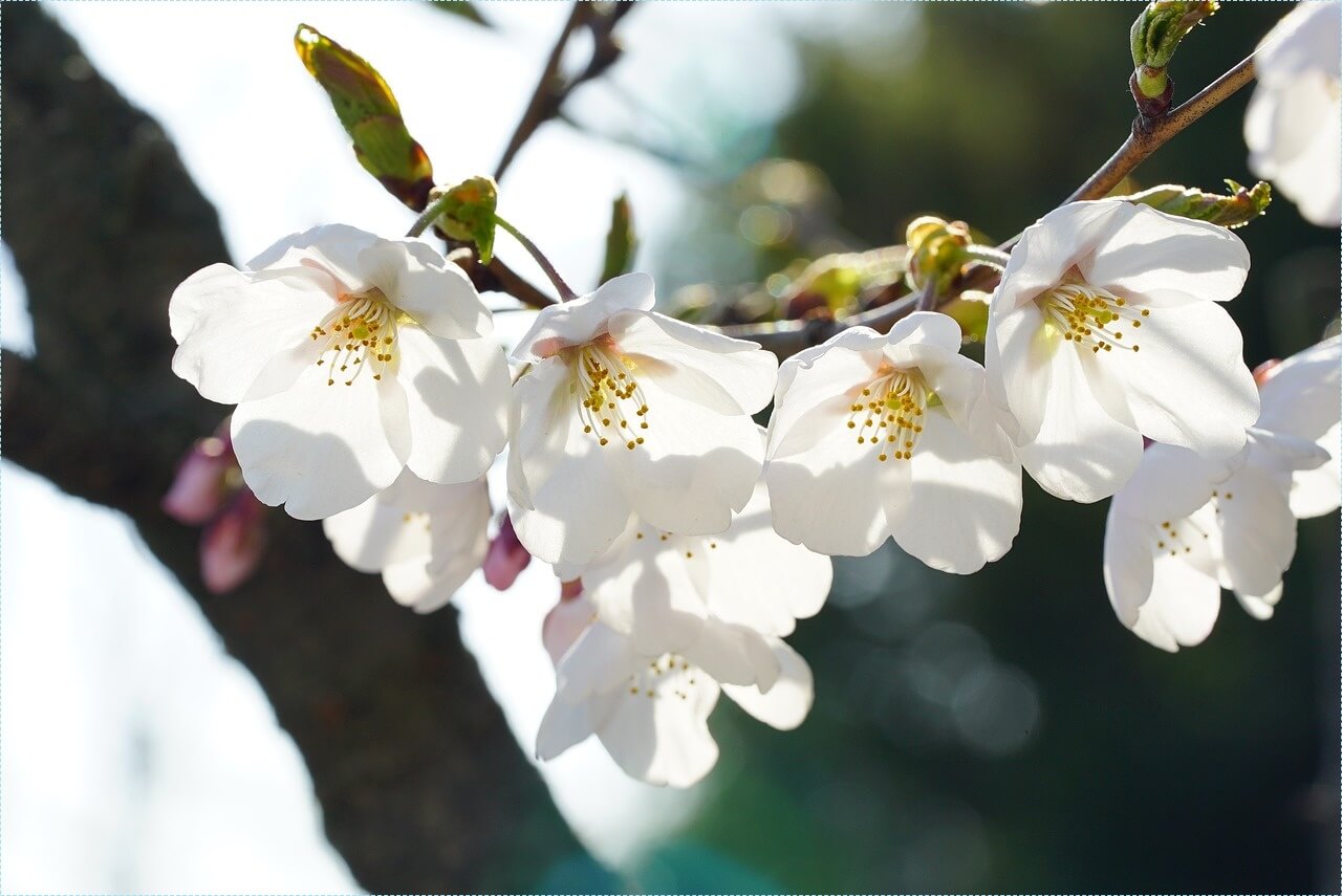 적금 이율 높은 은행
