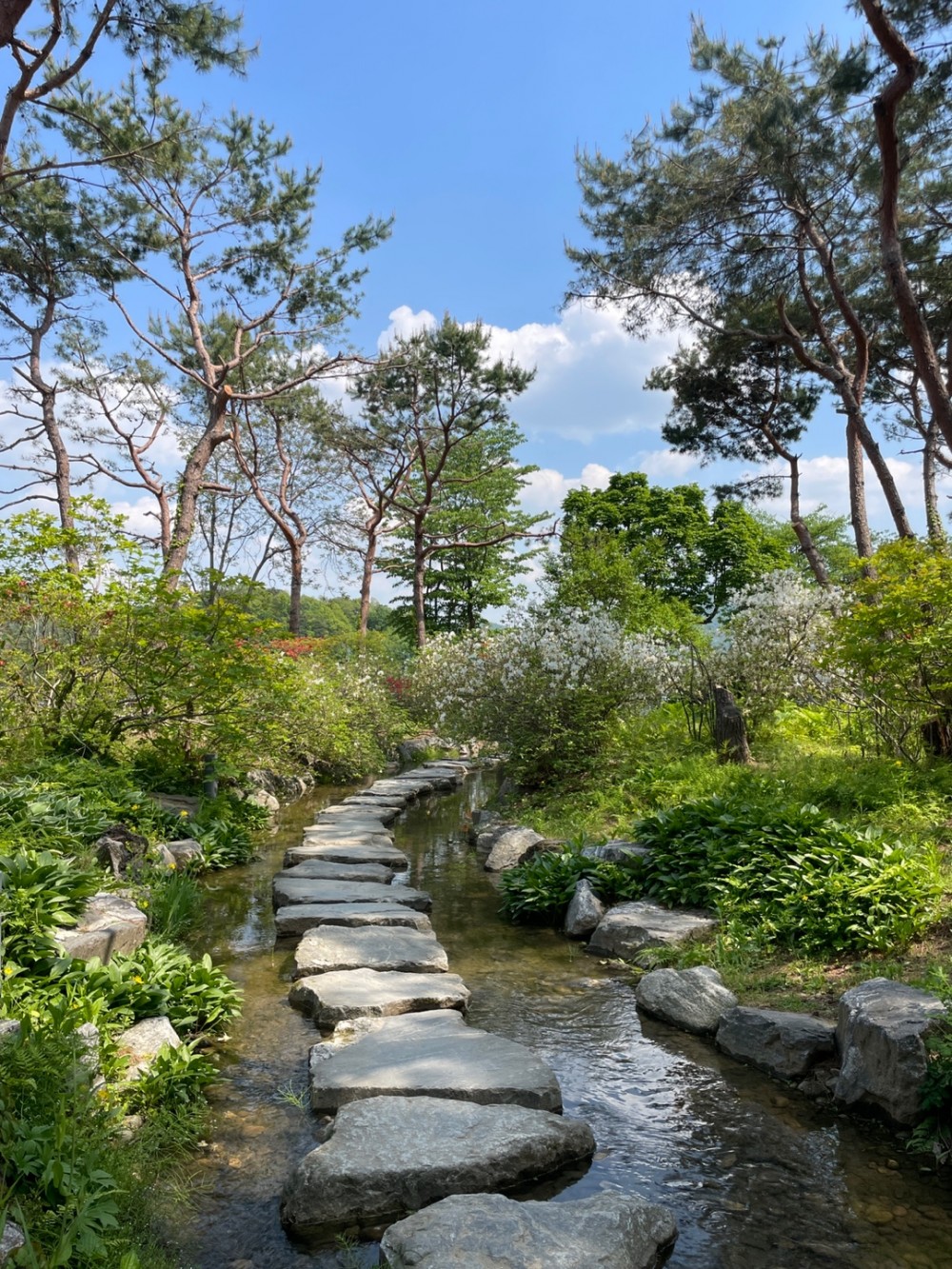 세미원