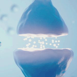 제약바이오 관련주 대장주 테마주 TOP7