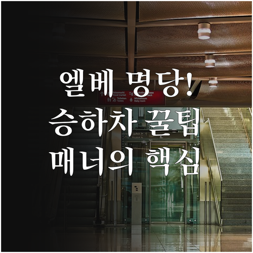 효율적인 엘리베이터 승하차 흐름과 내..