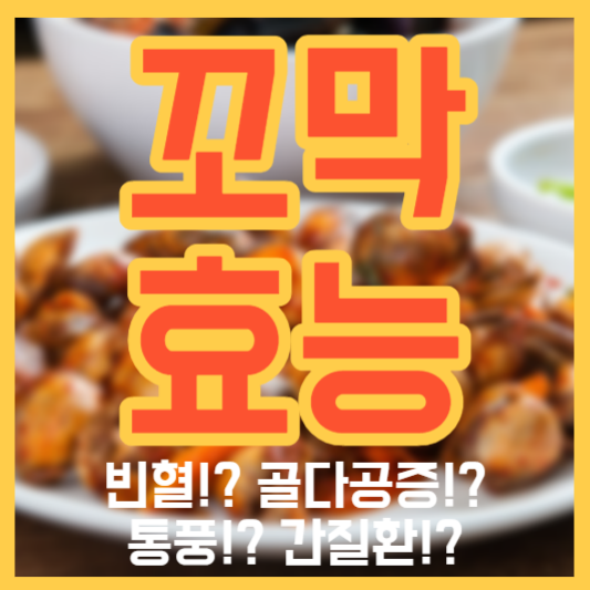 꼬막 효능 - 빈혈!? 골다공증!? 통풍!? 간질환!?