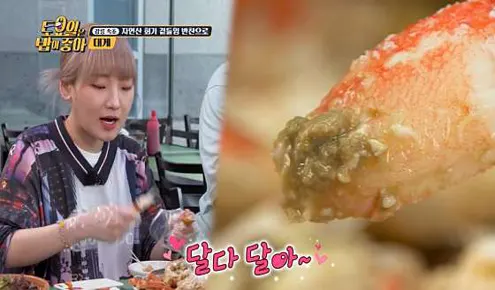 너도대게나도대게