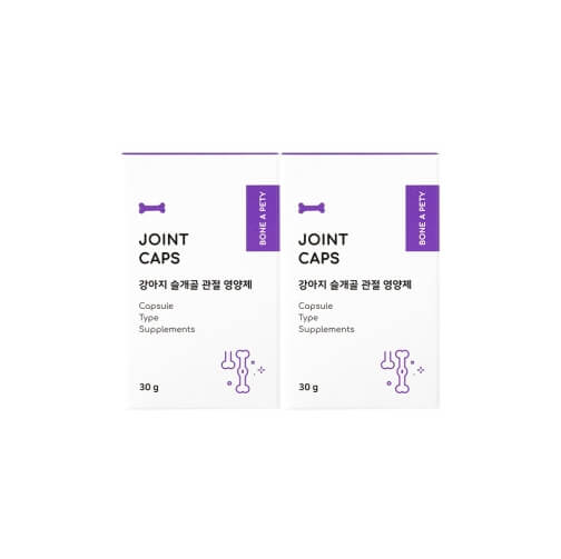강아지 관절 영양제 추천