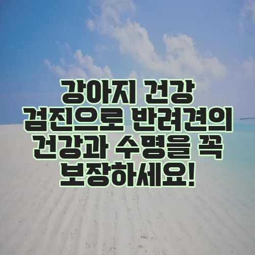 강아지 건강 검진으로 반려견의 건강과 수명을 꼭 보장하세요!