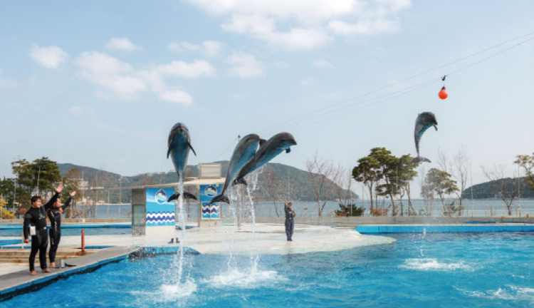 거제 씨월드 관람