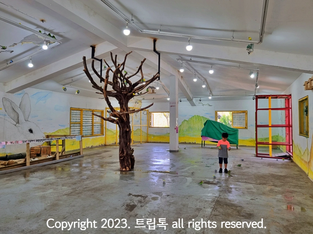 실내 한가운에 큰 나무가 있고 그 옆에 아이가 서있다