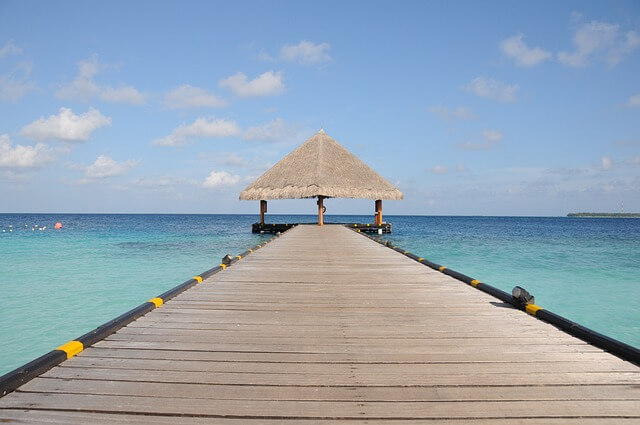 μΈμ΄μ
Έμμ ν΄μμ μ¦κΈ°λ ν