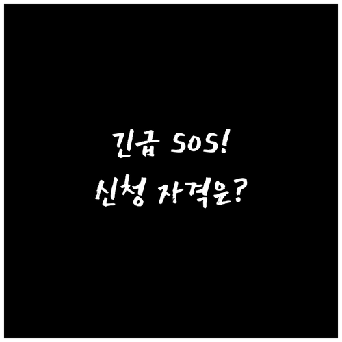 72시간 이내 서비스 개시! 긴급 돌..