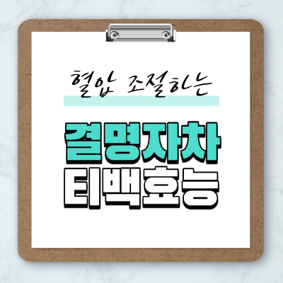 혈압 조절하는 결명자차 티백 효능