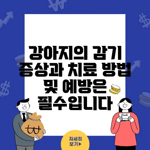 강아지의 감기 증상과 치료 방법 및 예방은 필수입니다