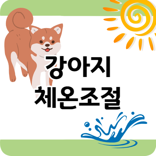 강아지 체온