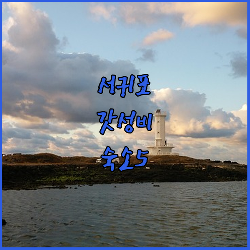 실제 후기 좋은 서귀포 가성비 숙소 ..