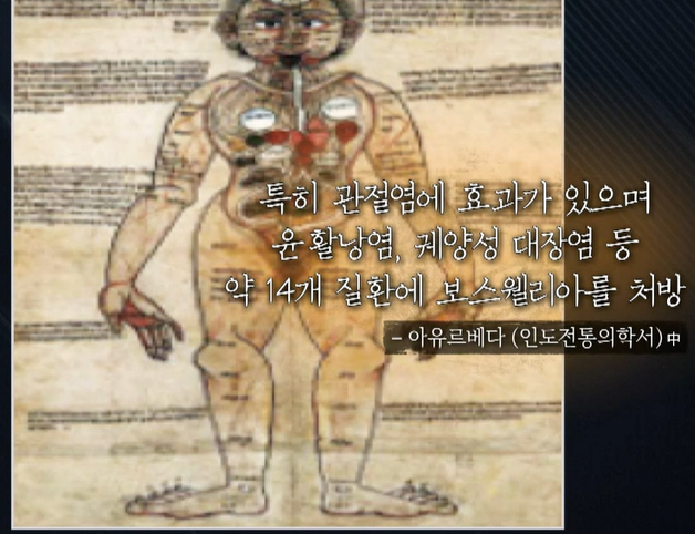 보스웰리아