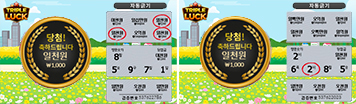 트리플럭
