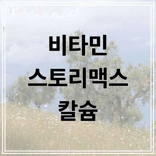 비타민 스토리맥스 칼슘