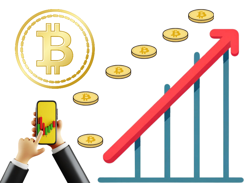 오르카 코인 거래량