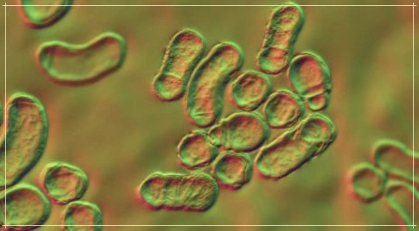 두피땀 원인으로 탈모가 생긴다면?