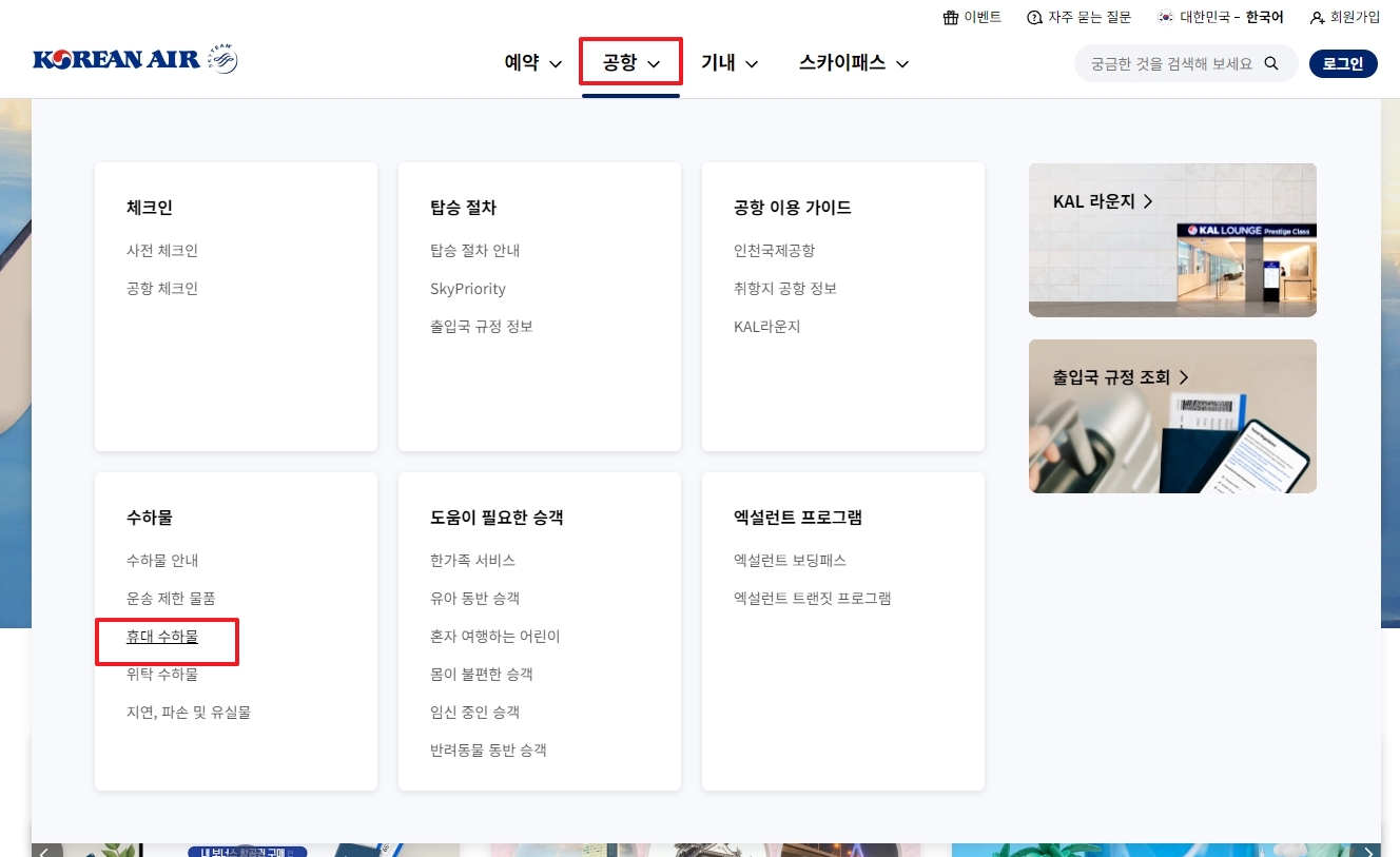 항공사 홈페이지에서 공항 및 휴대 수하물 메뉴를 찾아 들어가는 과정
