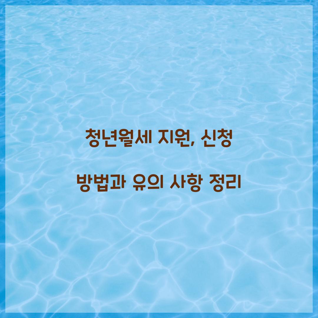 청년월세 지원