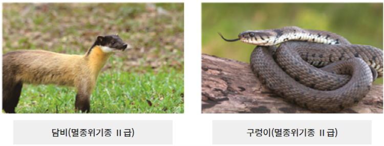문경 돌리네습지
