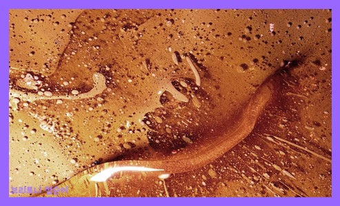 항산화 작용이란 사진