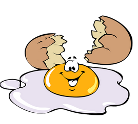 단백질