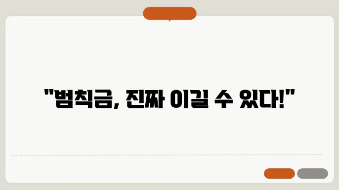 범칙금 이의 신청