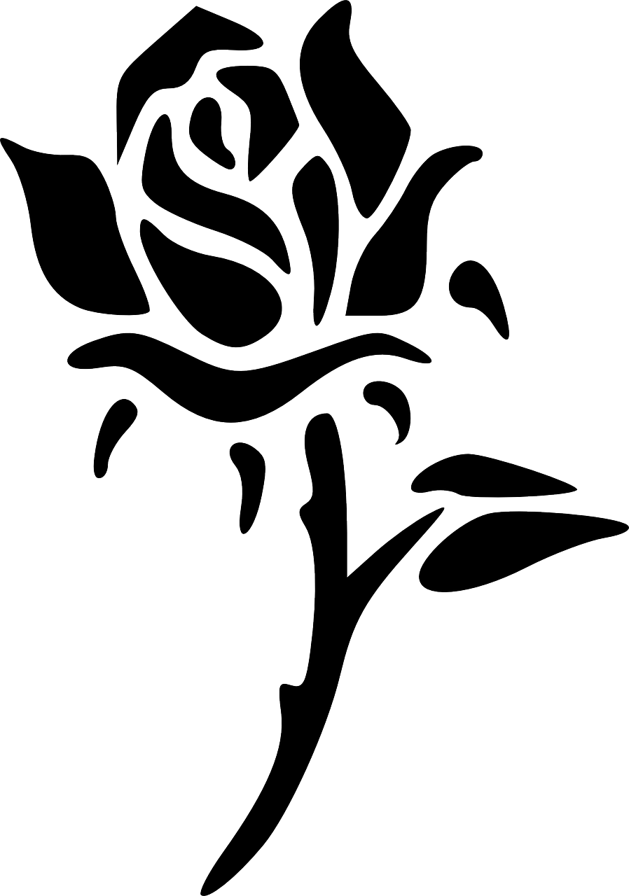 발렌타인데이 초콜릿 선물추천