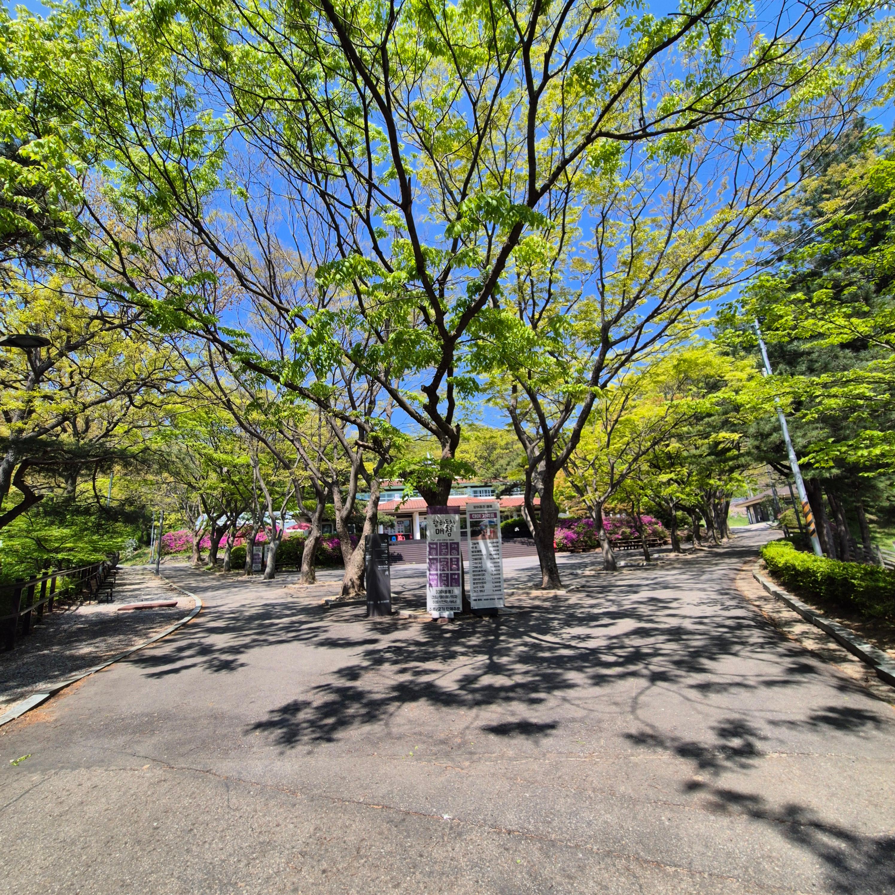 마니산 입장료&amp;#44; 마니산&amp;#44; 마니산 등산&amp;#44; 마니산 등산로&amp;#44; 강화도 마니산&amp;#44; 강화 마니산&amp;#44; 함허동천&amp;#44; 함허동천로&amp;#44; 마니산 함허동천로&amp;#44; 마니산 험허동천&amp;#44; 마니산 계곡로&amp;#44; 마니산 단군로&amp;#44; 마니산 주차장