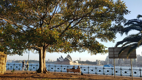맨리에서 바라본 시드니