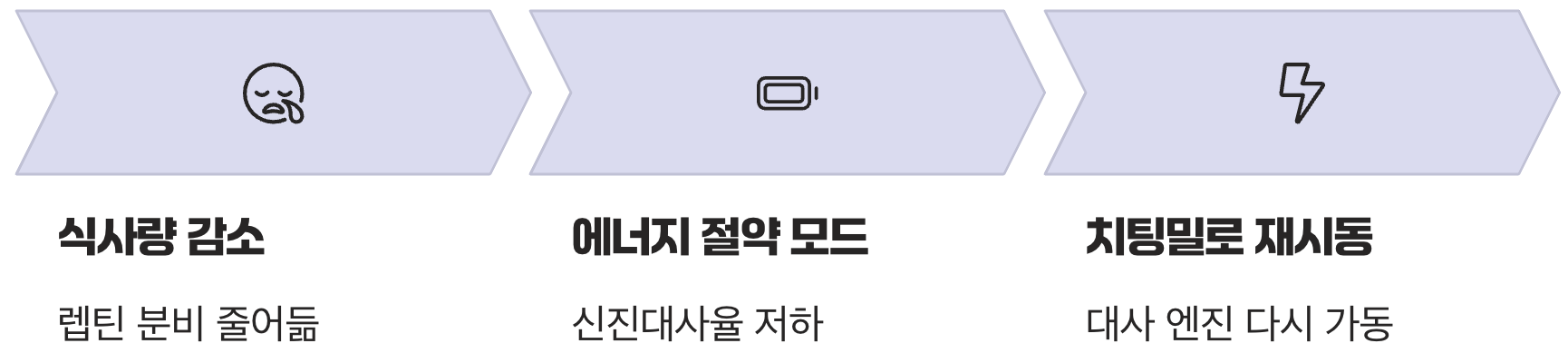 치팅데이의 진짜 목적, 잠자는 신진대사를 깨워라