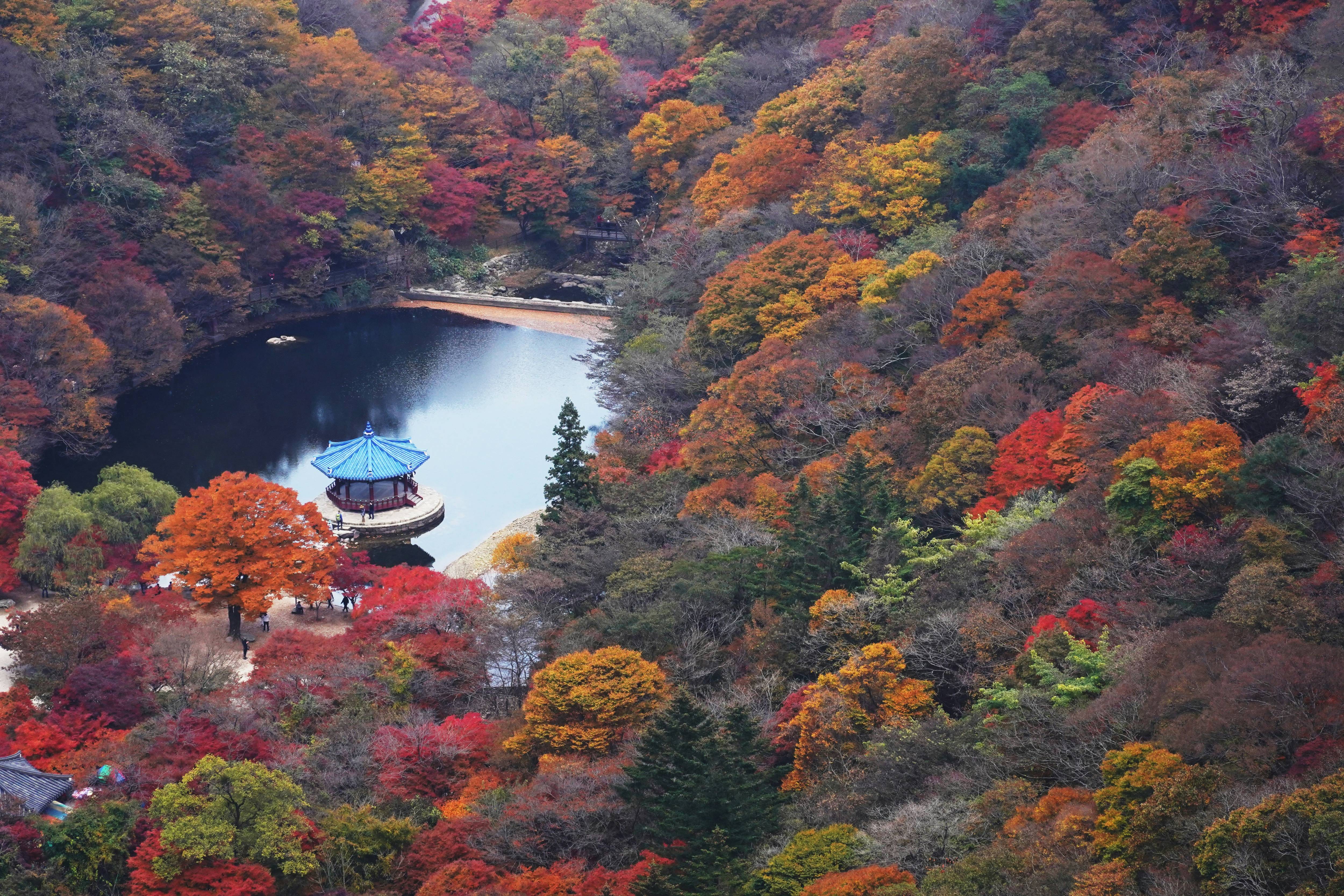 화담숲 단풍시기부터 주차&middot;숙소&middot;맛집까지｜가을여행 필수정보 총정리!