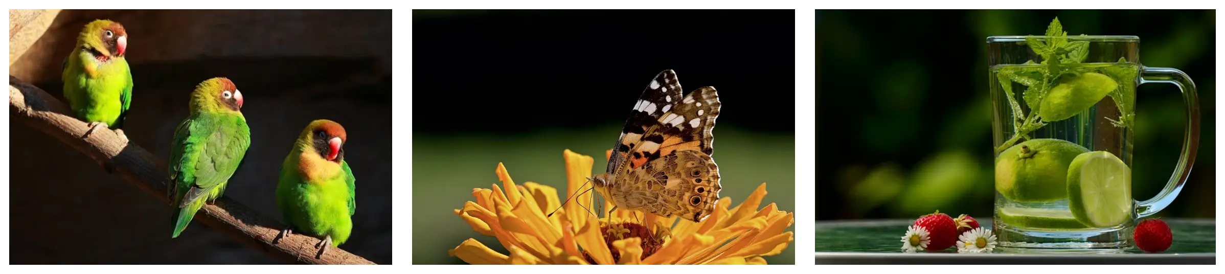 청년내일채움공제