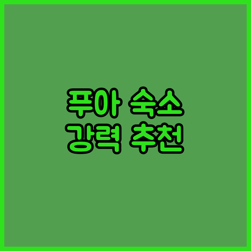 KheangKhangKhao 호텔: ..