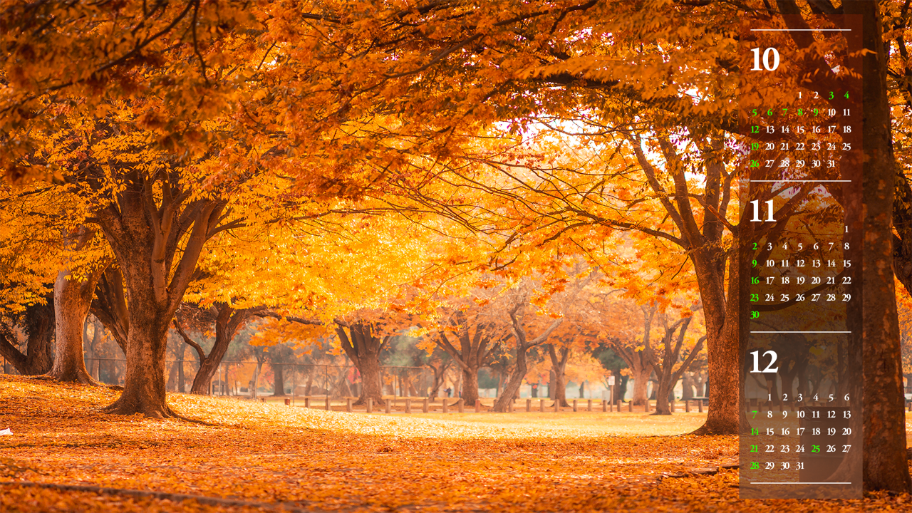 09 단풍으로 물든 공원 B - 2025년11월 노트북배경화면