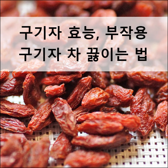 건조하고 있는 구기자