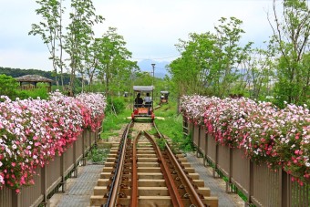 의왕 왕송호수 레일바이크