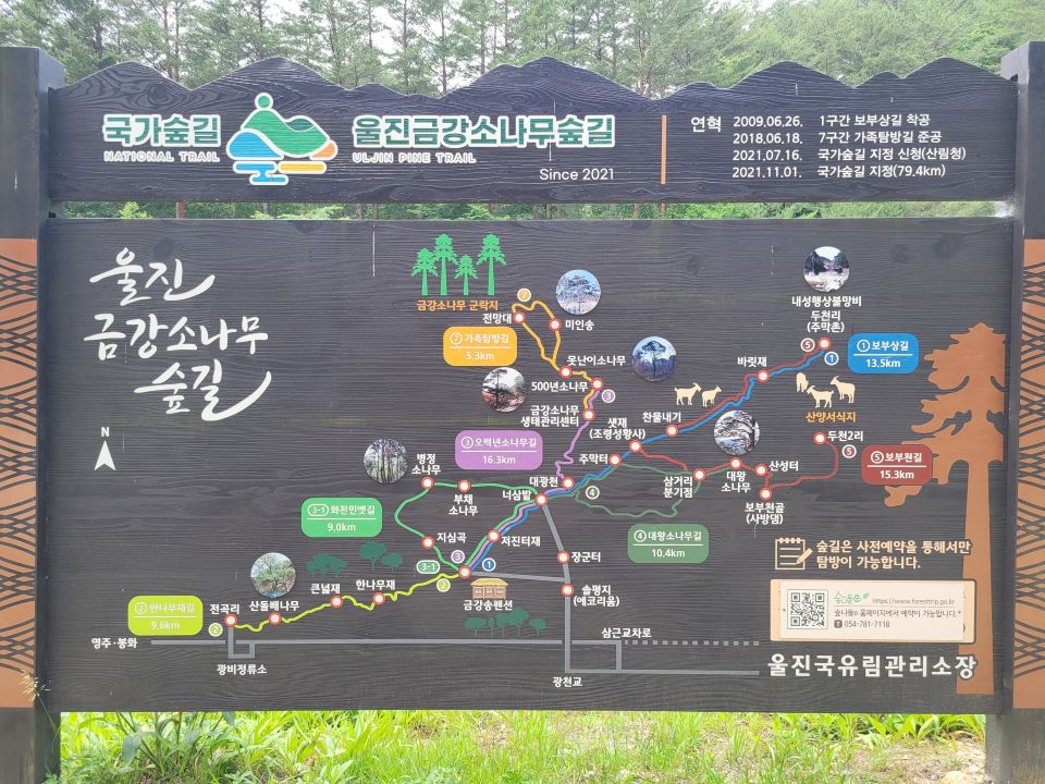 울진 금강송수목원 관람 가이드