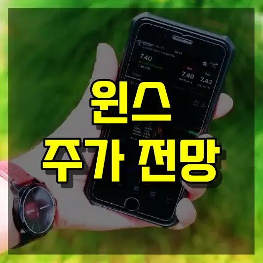 윈스 주가 전망