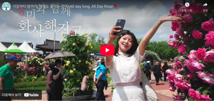 곡성세계장미축제 홍보영상
