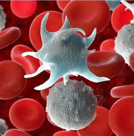 혈색소 수치가 높으면