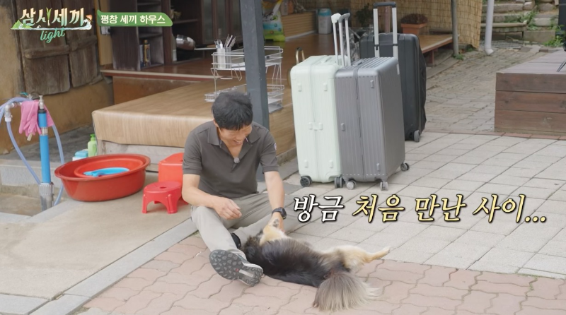 삼시세끼 라이트 강아지 복구