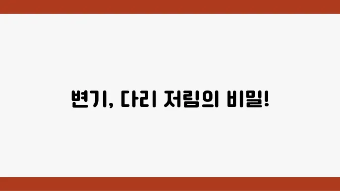 변기에 오래 앉아 있으면 다리가 저린 이유