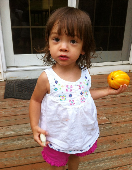 참외의 효능과 부작용 칼로리 총정리