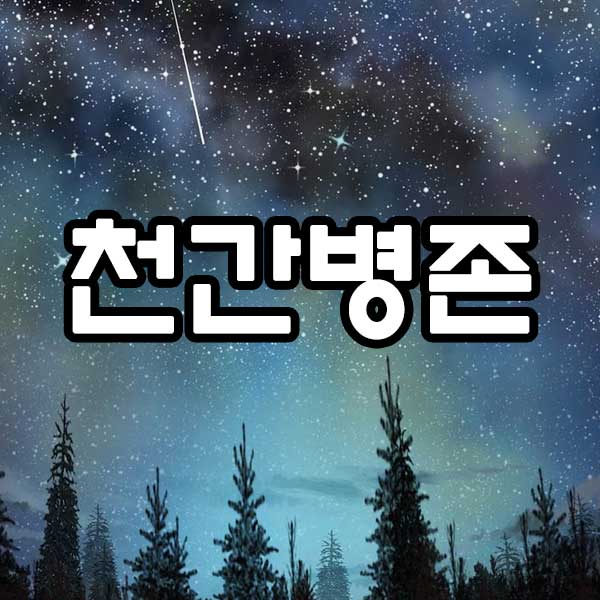 천간병존 썸네일