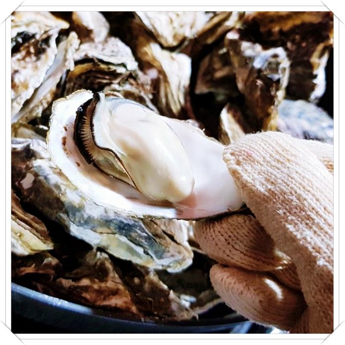 석화찜