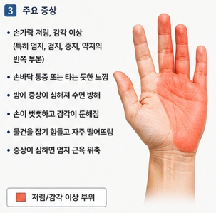 손목 골절